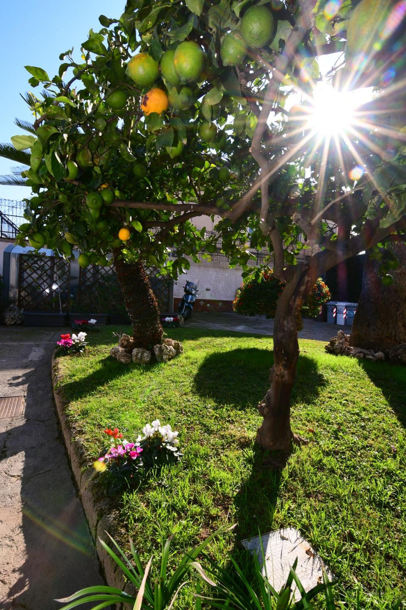 Casa Giulia Vesuvio Posillipo *