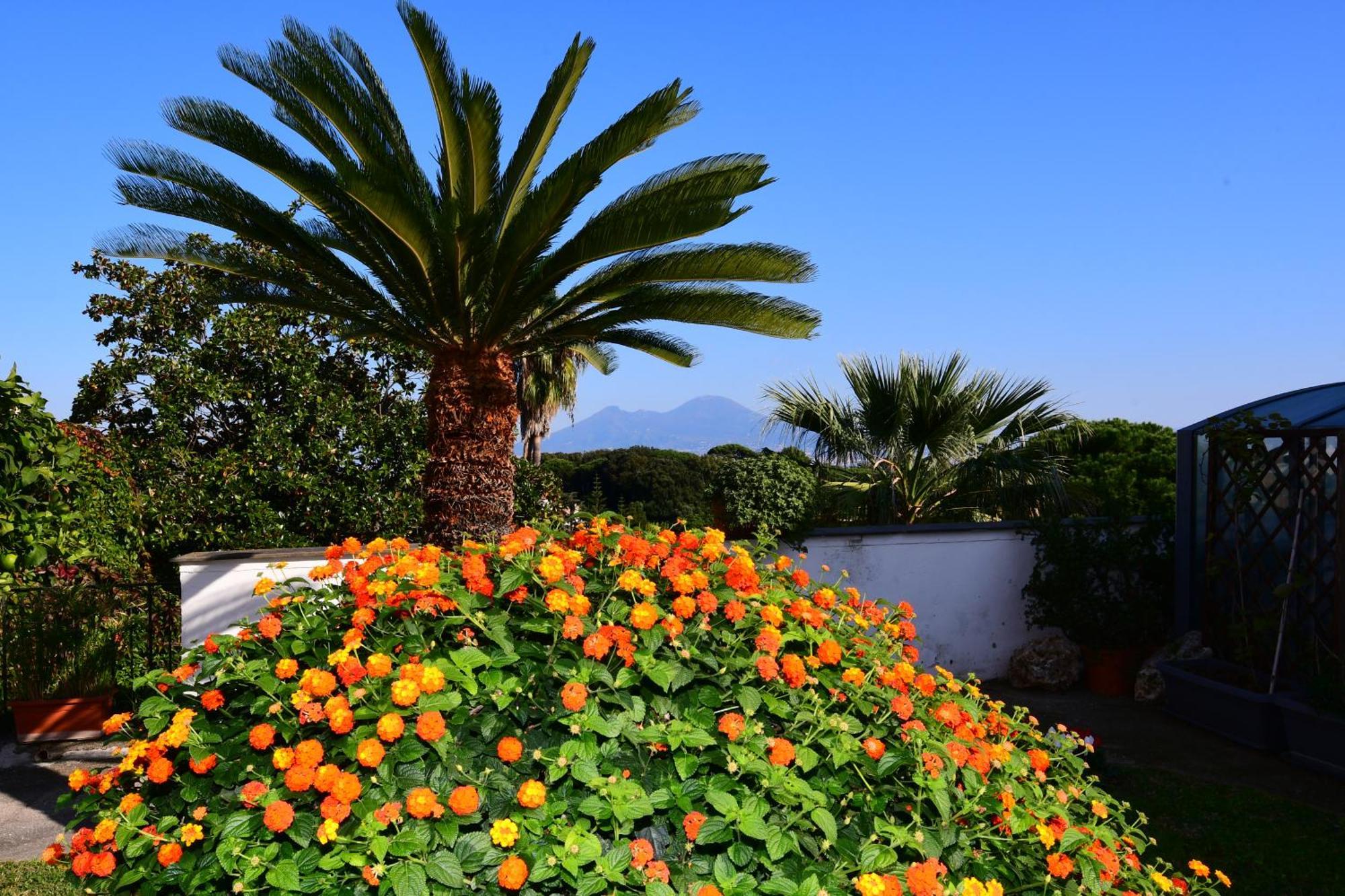 Casa Giulia Vesuvio Posillipo
