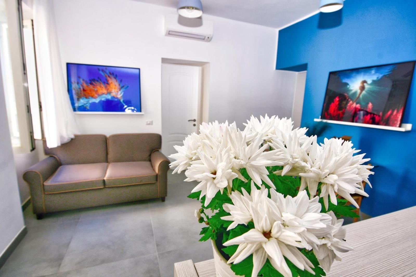 Casa Giulia Vesuvio Posillipo Apartment